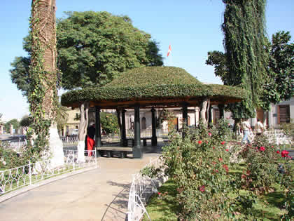 PASEO CIVICO 08