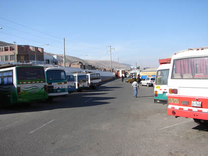 TERMINAL BOLOGNESI 02