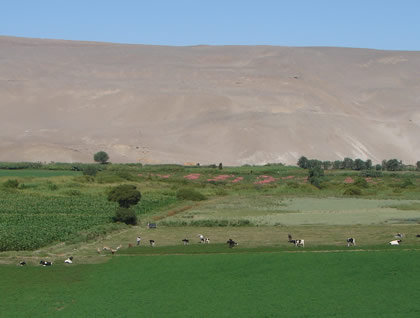 VALLE LOCUMBA 08