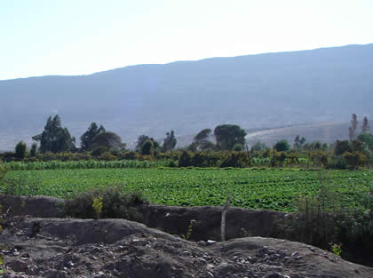 VALLE VIEJO 06