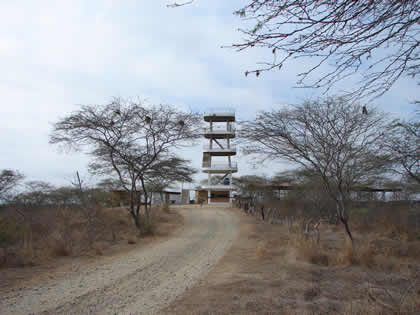 MIRADOR TURISTICO Y AREA NATURAL PRIVADA PALO SANTO 01