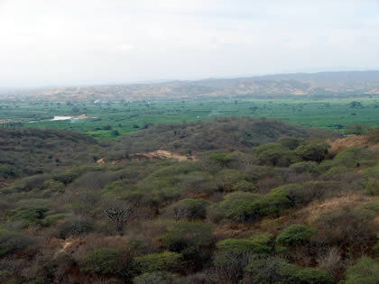 MIRADOR TURISTICO Y AREA NATURAL PRIVADA PALO SANTO 04