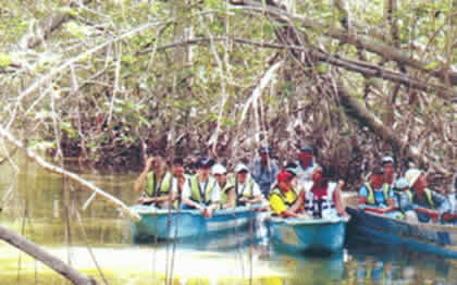 ASOCIACION DE EXTRACTORES TRADICIONALES DE RECURSOS HIDROBIOLOGICOS NUEVA ESPERANZA LOS MANGLARES 07