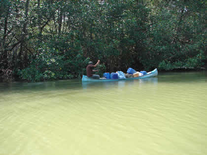 TOURS A CANOA EN EL SANTUARIO NACIONAL LOS MANGLARES DE TUMBES 02