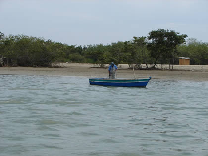 CONCHERO CANGREJERO Y PESCADOR 02