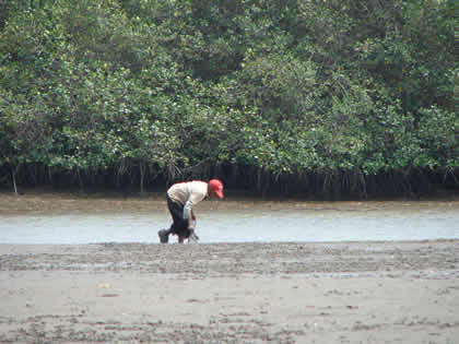 CONCHERO CANGREJERO Y PESCADOR 03