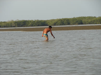 CONCHERO CANGREJERO Y PESCADOR 05