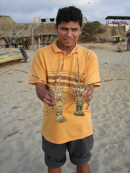 LANGOSTAS EN LA PLAYA CALETA GRAU 02