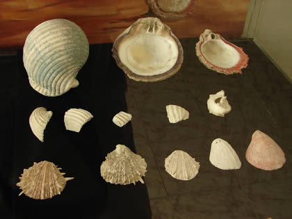 MUSEO DE SITIO DE CABEZA DE VACA GRAN CHILIMASA 07