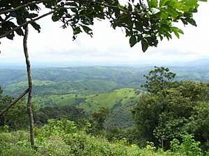 PARQUE NACIONAL CERROS DE AMOTAPE 01