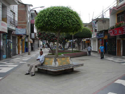 PASEO COMERCIAL LOS LIBERTADORES 02