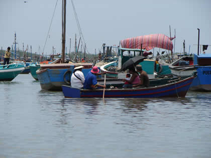 PASEOS EN BOTE EN PUERTO PIZARRO 01