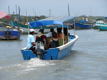 PASEOS EN BOTE EN PUERTO PIZARRO 02