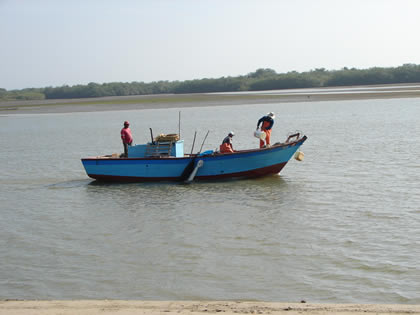 PASEOS EN BOTE EN PUERTO PIZARRO 03