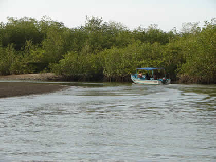 PASEOS EN BOTE EN PUERTO PIZARRO 05