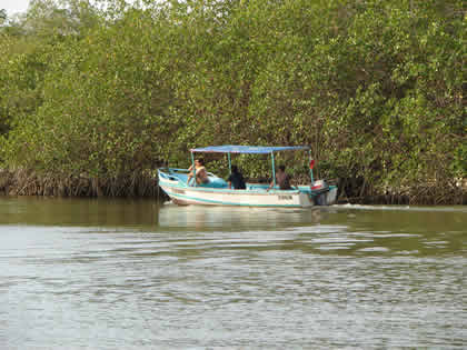 PASEOS EN BOTE EN PUERTO PIZARRO 06