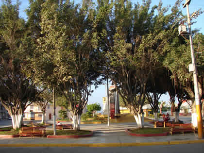 PLAZA BOLOGNESI 04