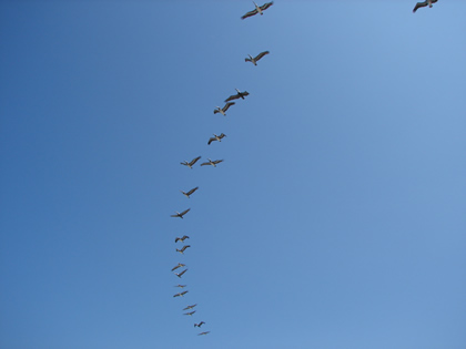 LA NATURALEZA Y PUNTA SAL 03