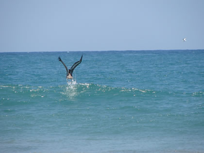 LA NATURALEZA Y PUNTA SAL 06