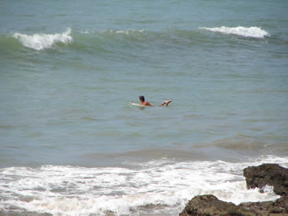 SURFING IN ZORRITOS 01