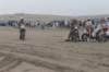 rally_dakar_2012_010_small.jpg
