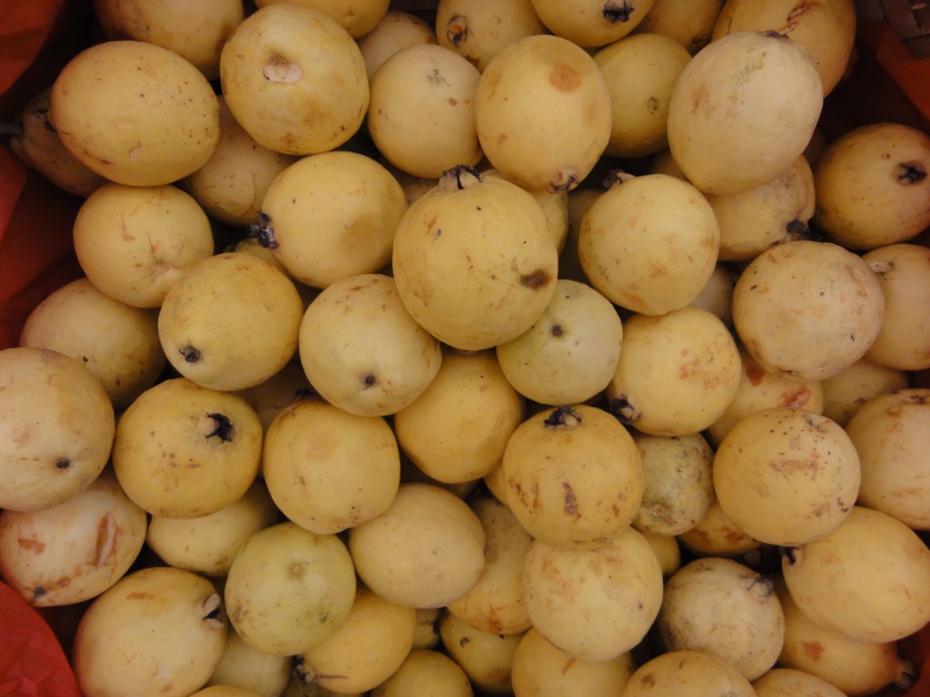feria_gastronomica_internacional_de_lima_mistura_2011_013.jpg