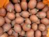 feria_gastronomica_internacional_de_lima_mistura_2011_016_small.jpg