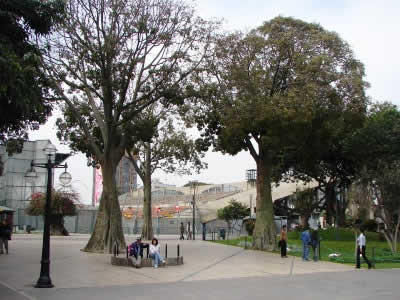 ANFITEATRO PARQUE DE LA EXPOSICION