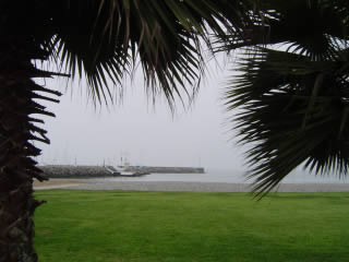 la punta playas 08