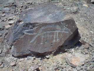 CANTACHECTA12