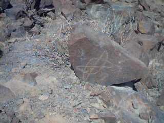 CANTACHECTA20