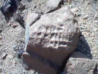 CANTACHECTA24