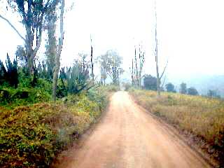 Las Lomas de Lachay