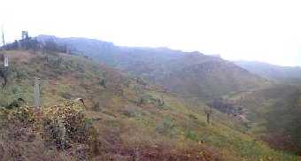 Las Lomas de Lachay