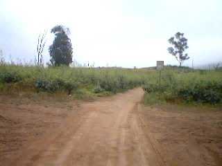 Las Lomas de Lachay